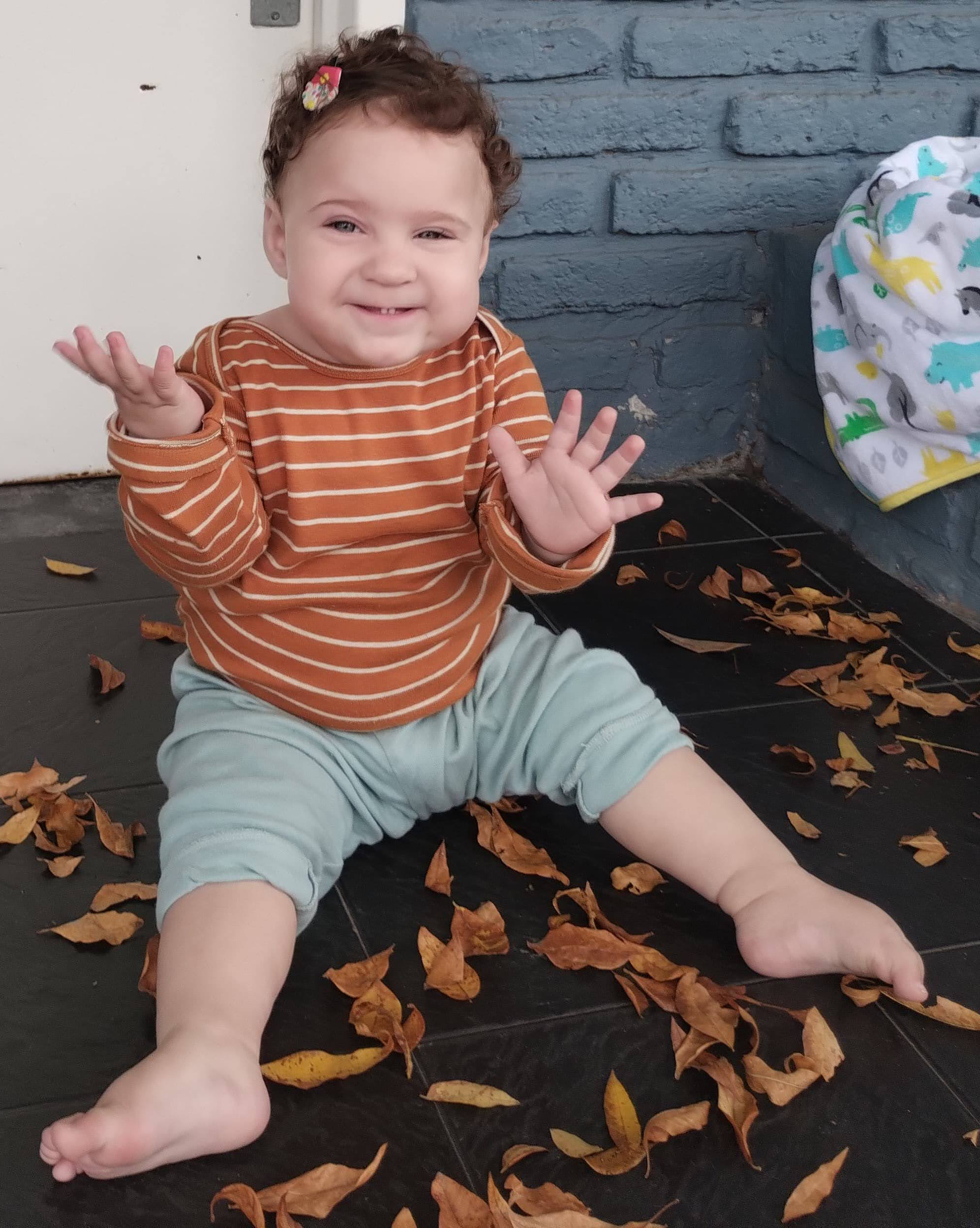 Fondo izquierdo selva